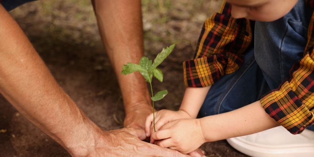 Father and son planting a tree.